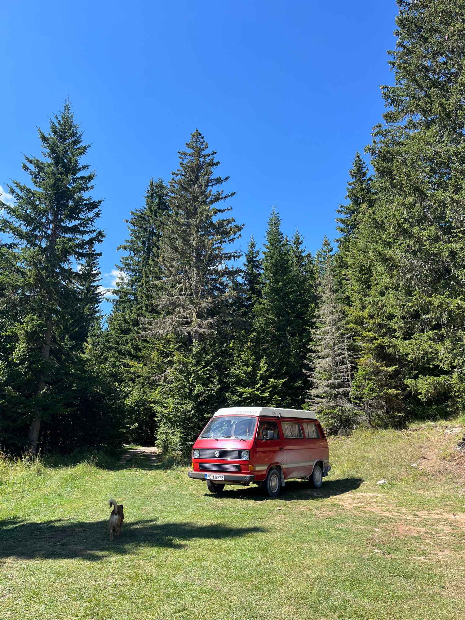 A VW T3 Campervan called Blue-Westfalia-Camper and for hire in Podgorica, Montenegro