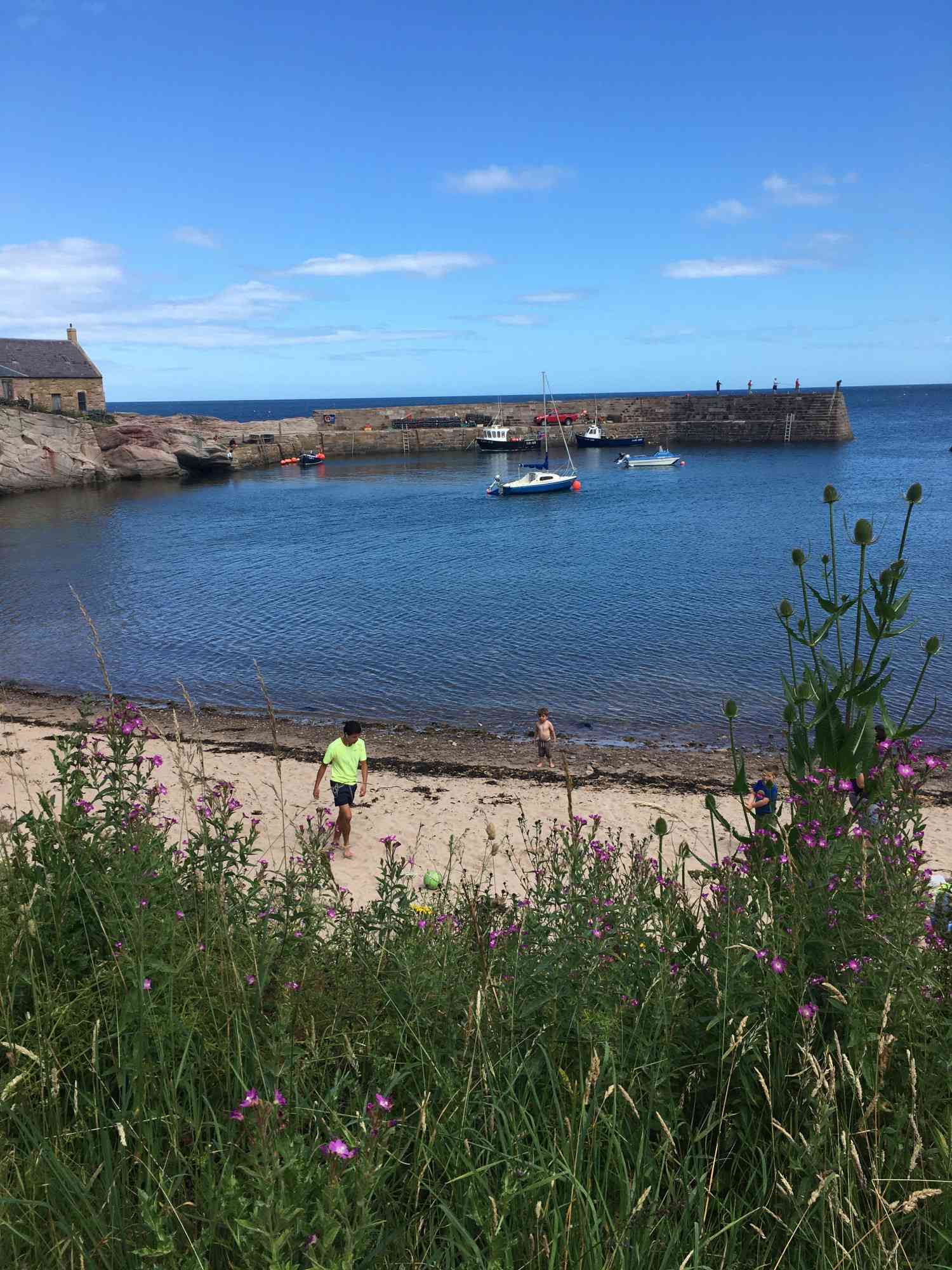 A VW T6 Campervan called BonnieT6-0524 and for hire in Edinburgh, Edinburgh