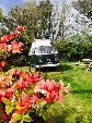 A VW T2 Classic Campervan called lolaT2-0422 and Secret Garden St Just for hire in Penryn, Cornwall