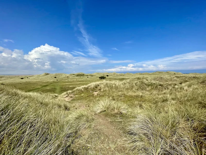 Green Grass Field Under Blue Sky During Daytime. Lindisfarne, Berwick-upon-Tweed