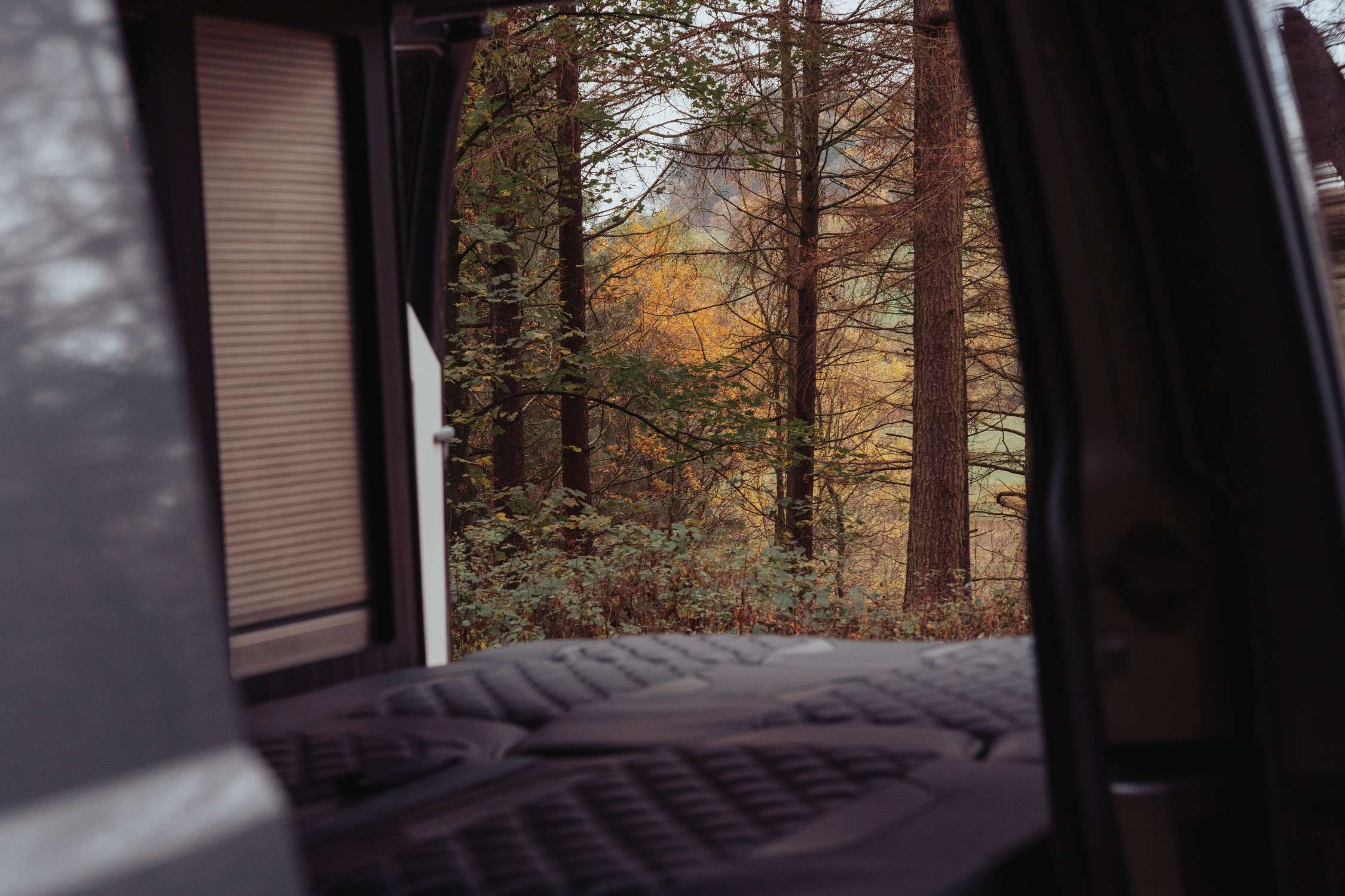 A VW T6 Campervan called Swampy and for hire in Oldham, Lancashire