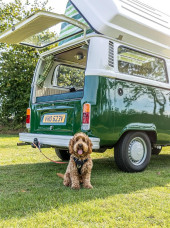 A VW T2 Classic Campervan called Wild-Monty and for hire in Bideford, Devon