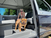 A VW T6 California Campervan called Gertie and for hire in Swindon , Wiltshire